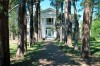 Rowan Oak